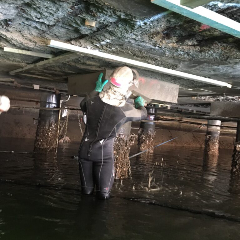 Pier Repair at Woolloomooloo with BluCem HB55